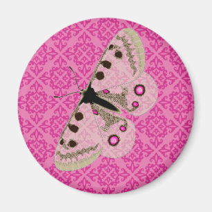 Imán Mariposa blanca en rosa