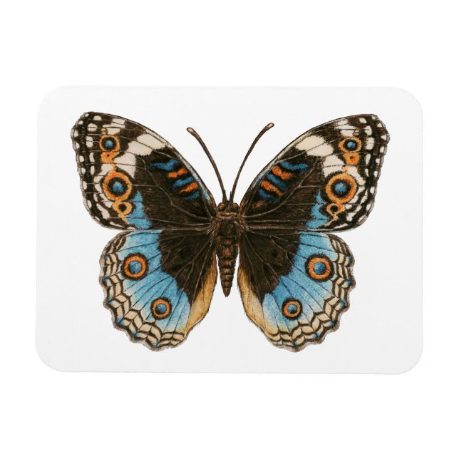 Imán Mariposa de Blue Pansy (Horizontal)