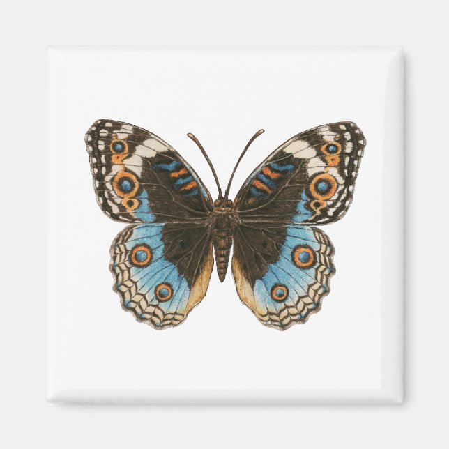 Imán Mariposa de Blue Pansy (Frente)