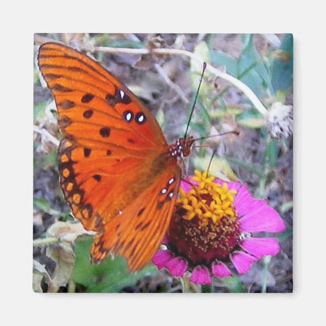 Imán Mariposa de bonito (Frente)
