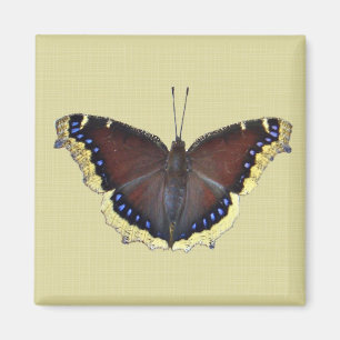 Imán Mariposa de capa de luto - Antiopa ninfalis