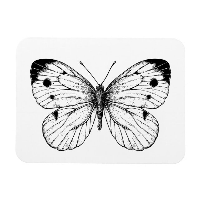 Imán Mariposa de col (Horizontal)