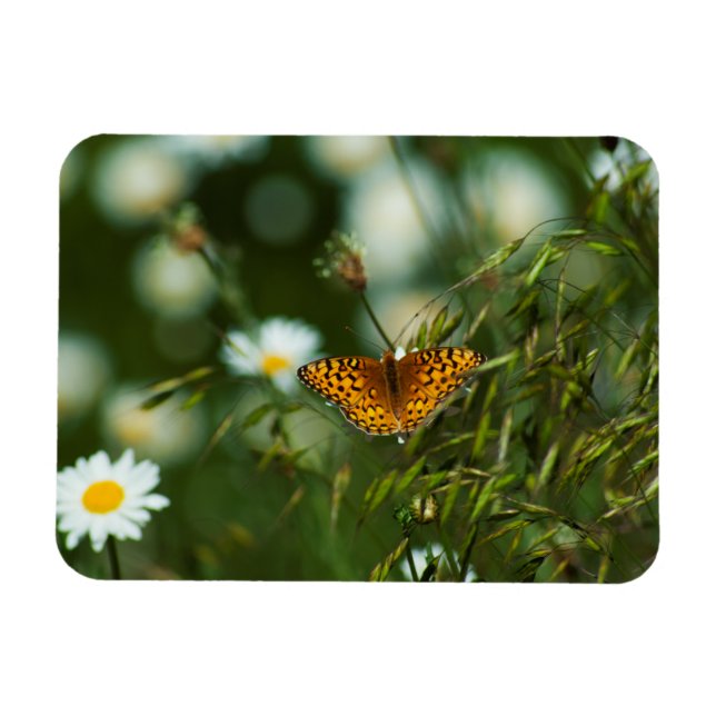 Imán Mariposa de Fritillary del Pacífico (Horizontal)