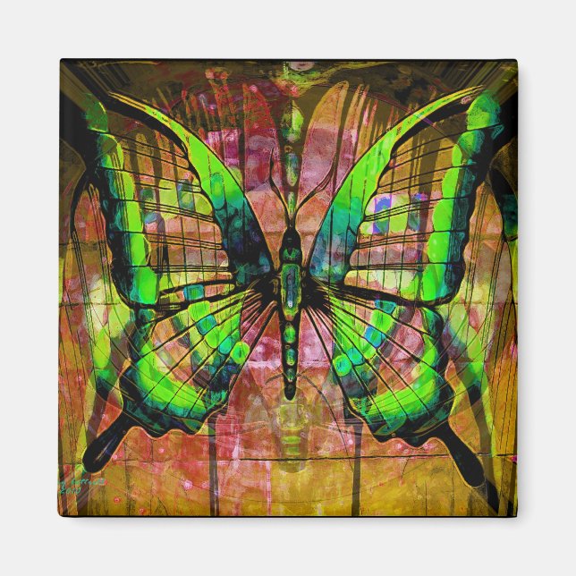 Imán Mariposa de hierro (Frente)