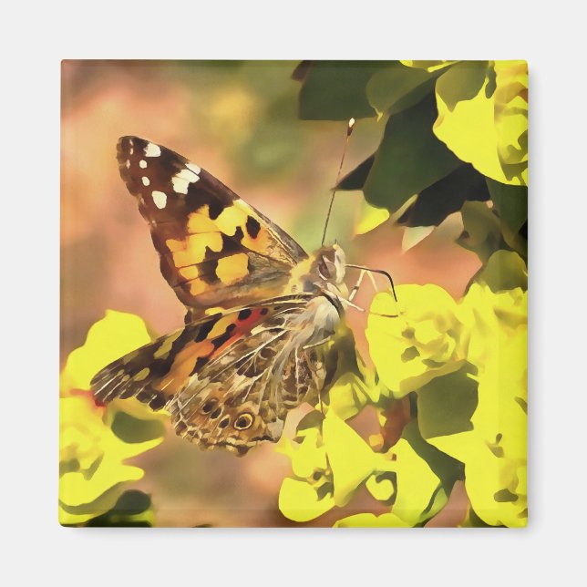 Imán Mariposa de Lady pintada en Myrtle Spurge (Frente)