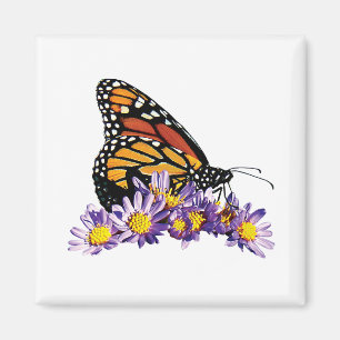 Imán Mariposa de monarca en aster