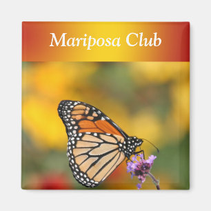 Imán Mariposa de monarca en busca del polen