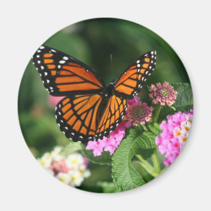 Imán Mariposa de monarca en la flor del Lantana