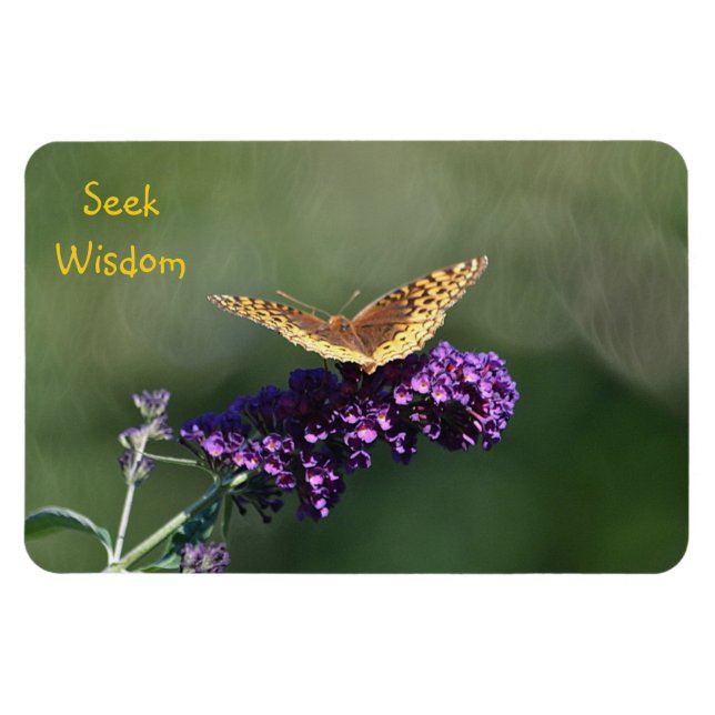 Imán Mariposa de Seek Wisdom (Horizontal)