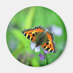 Imán Mariposa de Tortoiseshell pequeña