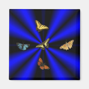 Imán Mariposa en arco iris negro y azul