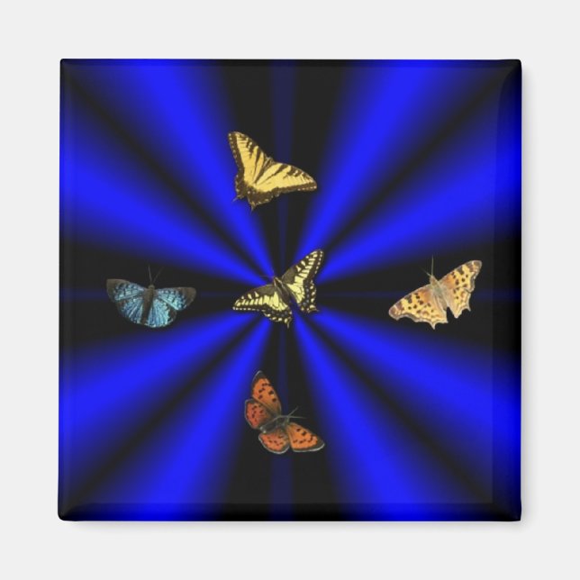 Imán Mariposa en arco iris negro y azul (Frente)