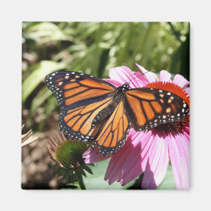 Imán Mariposa en flor roja