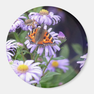 Imán Mariposa En Flores