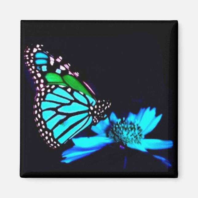 Imán Mariposa en luz azul (Frente)