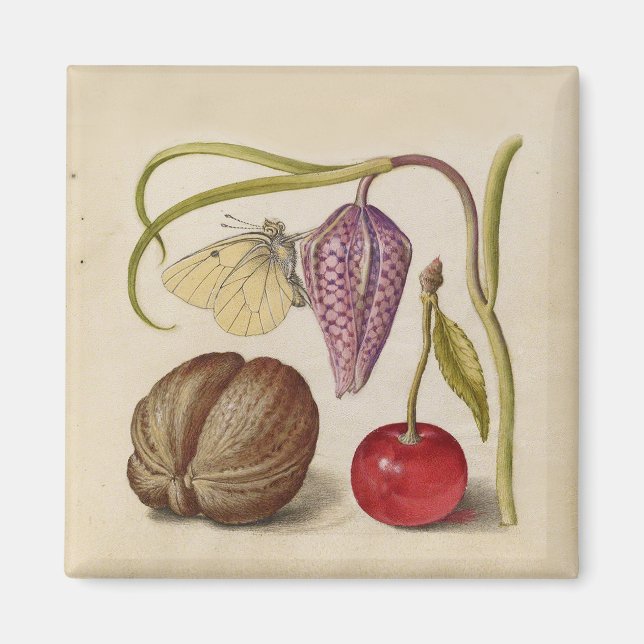 Imán Mariposa Flor de nuez de nuez de flores de cerezo  (Frente)