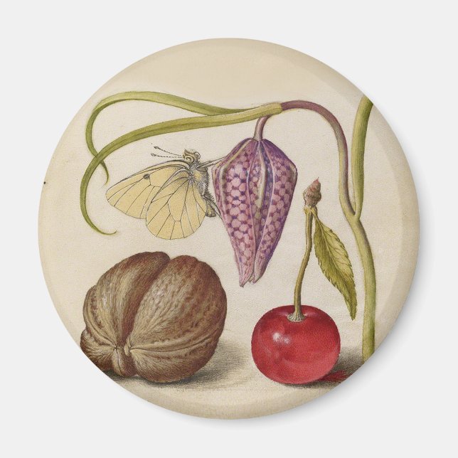 Imán Mariposa Flor de nuez de nuez de flores de cerezo  (Frente)