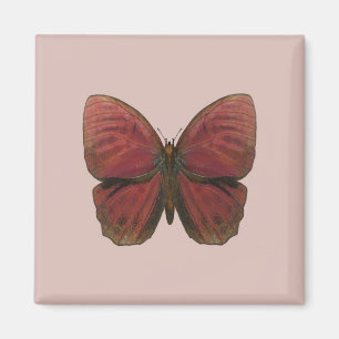 Imán Mariposa Gallo Rojo
