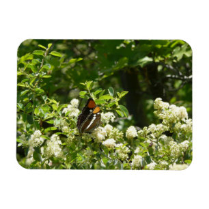 Imán Mariposa Hermana de California en Yosemite