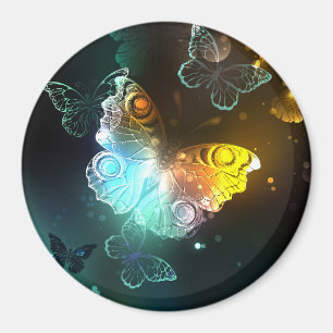 Imán Mariposa luminosa y mariposas nocturnas