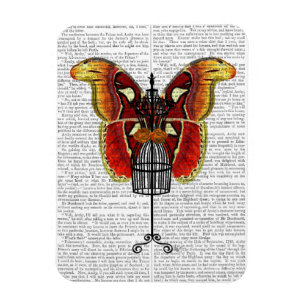 Imán Mariposa Mannequina Roja Y Amarilla