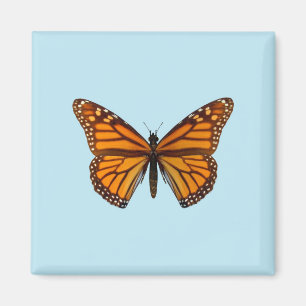 Imán Mariposa Monarca