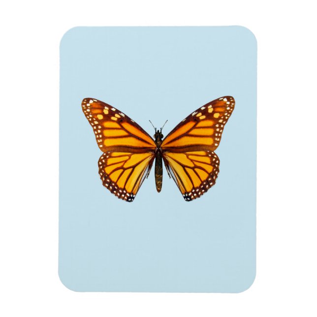 Imán Mariposa Monarca (Vertical)