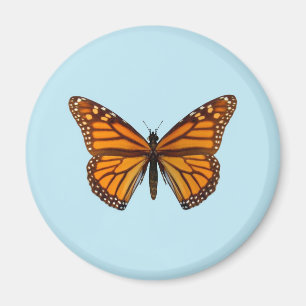 Imán Mariposa Monarca