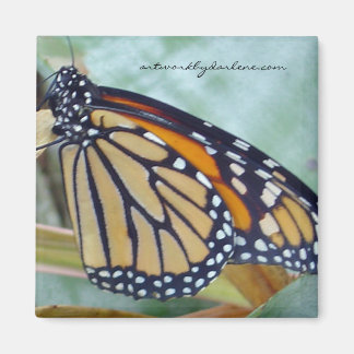Imán mariposa monarca