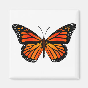 Imán Mariposa monarca