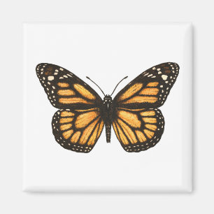 Imán Mariposa monarca