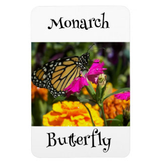 Imán Mariposa monarca