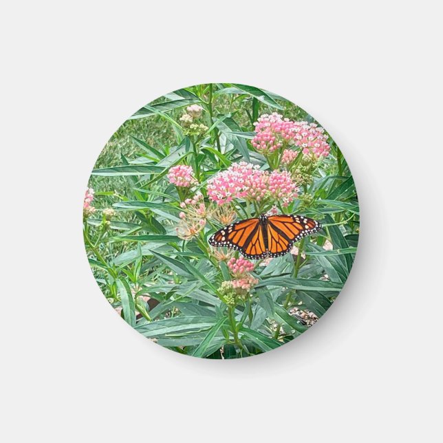 Imán Mariposa monarca en Milkweed  (Frente)
