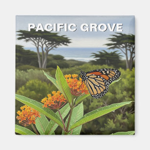 Imán Mariposa Monarca Pacific Grove California Viajes