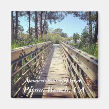 Mariposa Monarca: Playa Pismo, CA