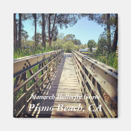 Imán Mariposa Monarca: Playa Pismo, CA