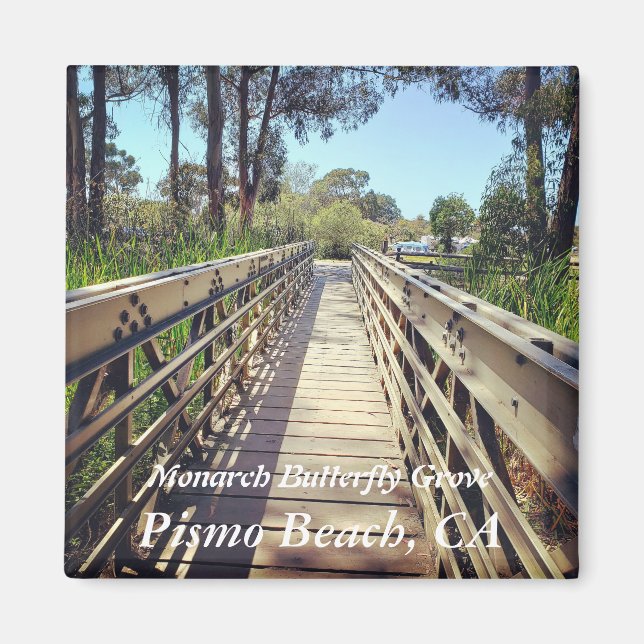 Imán Mariposa Monarca: Playa Pismo, CA (Frente)