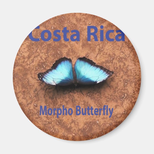 Imán Mariposa morfa Costa Rica (Frente)