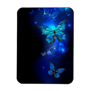 Imán Mariposa morfo en el fondo oscuro