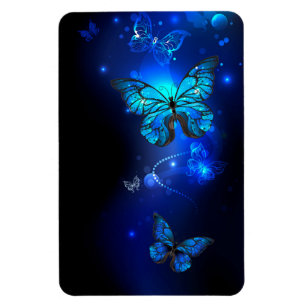 Imán Mariposa morfo en el fondo oscuro