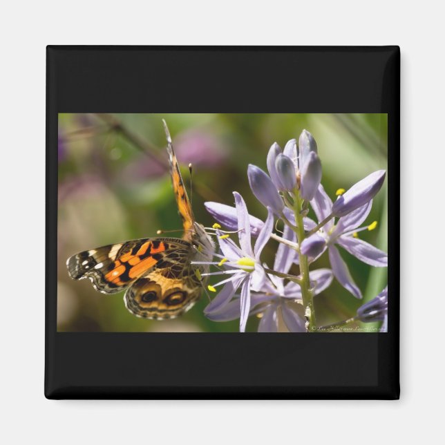 Imán Mariposa Naranja en Ropa y Regalos de Jacinto Silv (Frente)