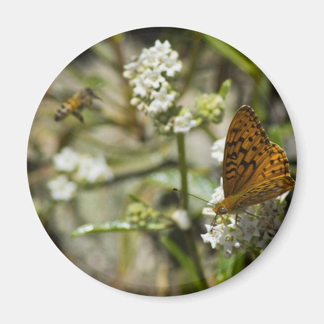 Imán Mariposa naranja y abeja (Frente)