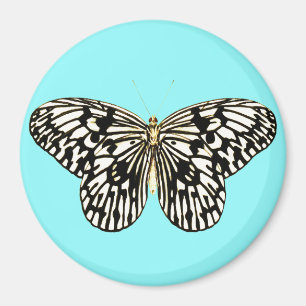 Imán Mariposa negra y blanca, fondo turquesa