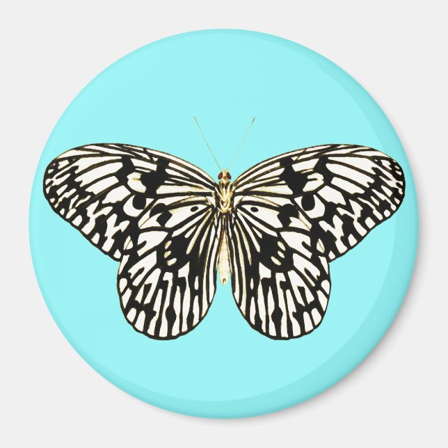 Imán Mariposa negra y blanca, fondo turquesa (Frente)