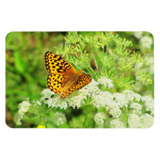 Imán Mariposa negra y Naranja sobre flores blancas