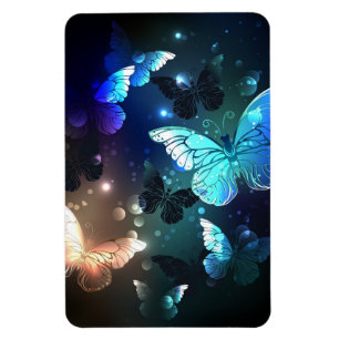 Imán Mariposa nocturna fluida