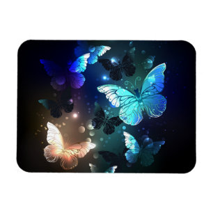 Imán Mariposa nocturna fluida