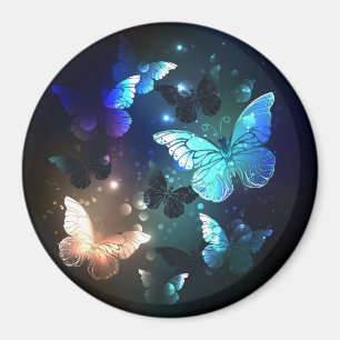 Imán Mariposa nocturna fluida