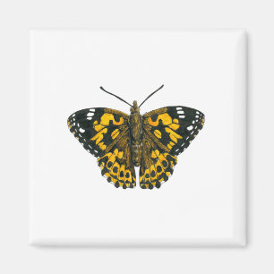 Imán Mariposa pintada