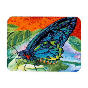 Imán Mariposa posa II